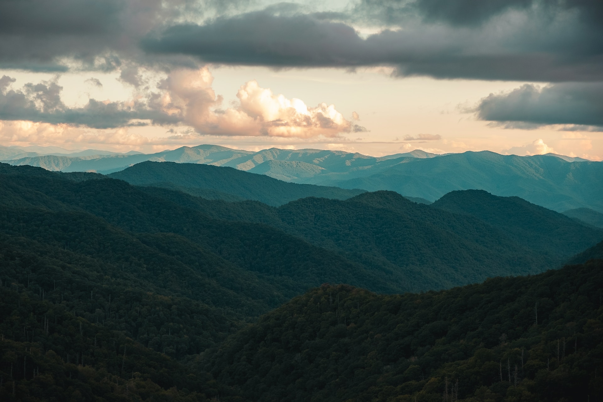 Come Experience the Top Summer Events of 2023 in the Smoky Mountains, Asheville, and New York City