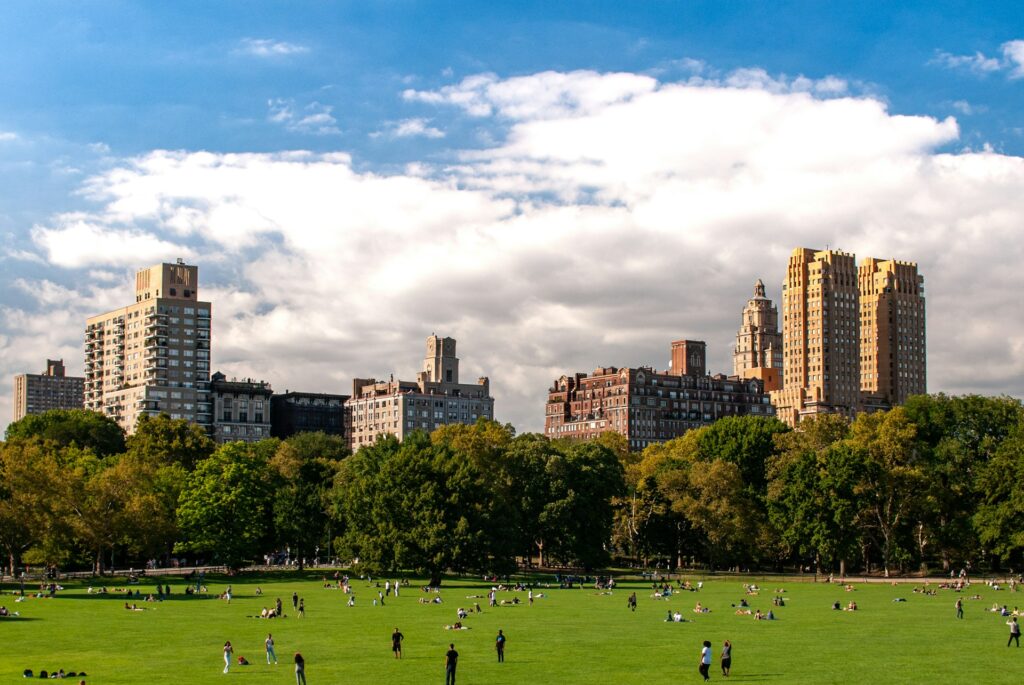 Experience Central Park in the summer