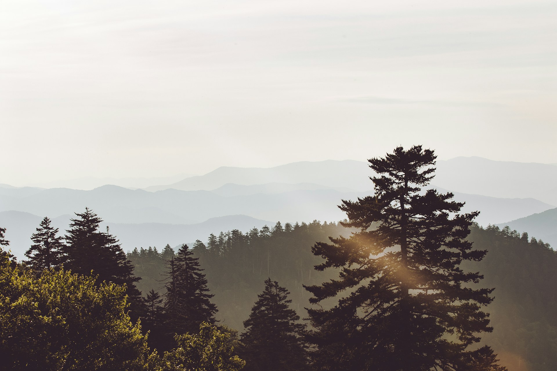 Stop by the Smoky Mountains National Park