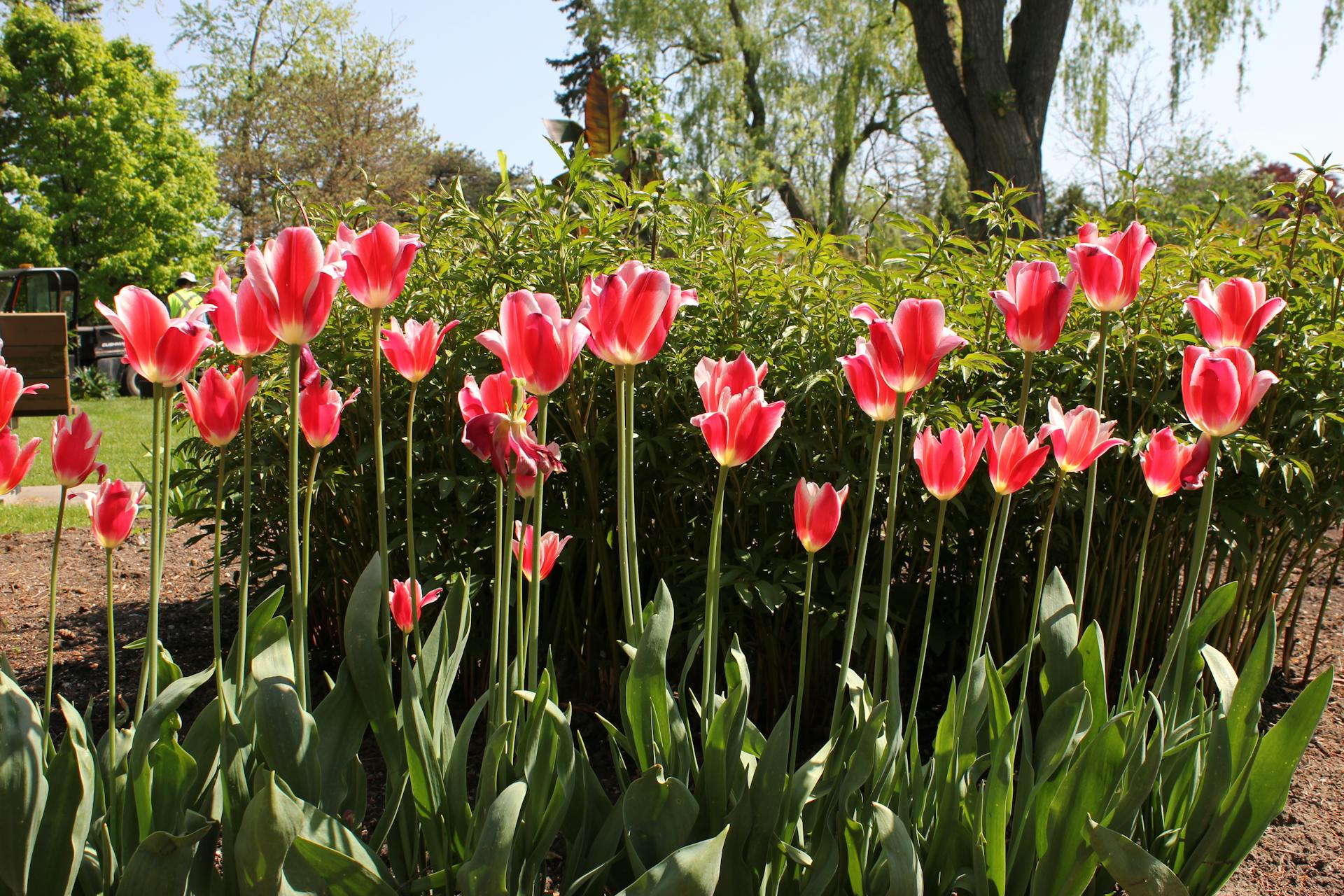 Stop by the Asheville Botanical Garden