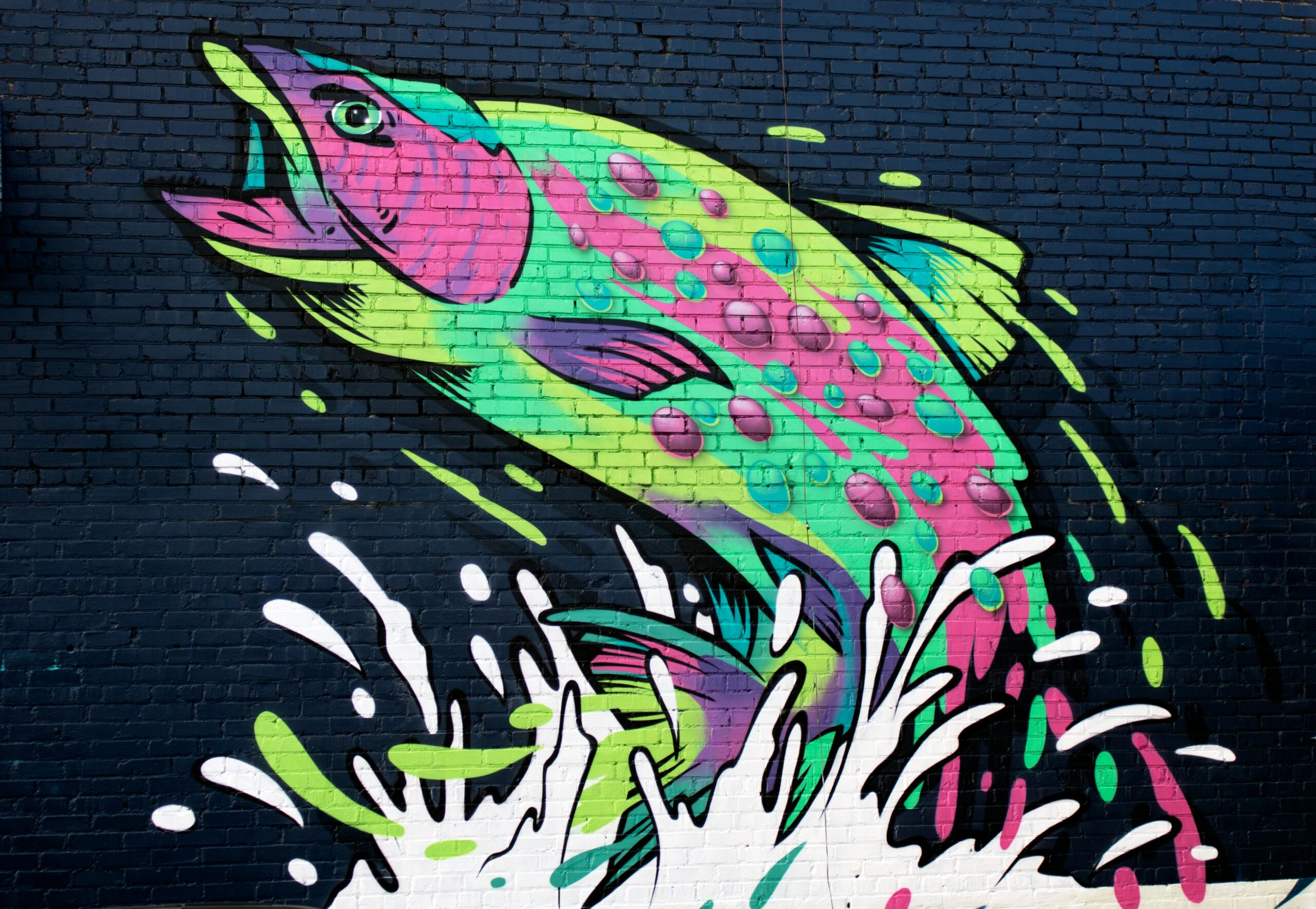River arts district Asheville fish graffiti 