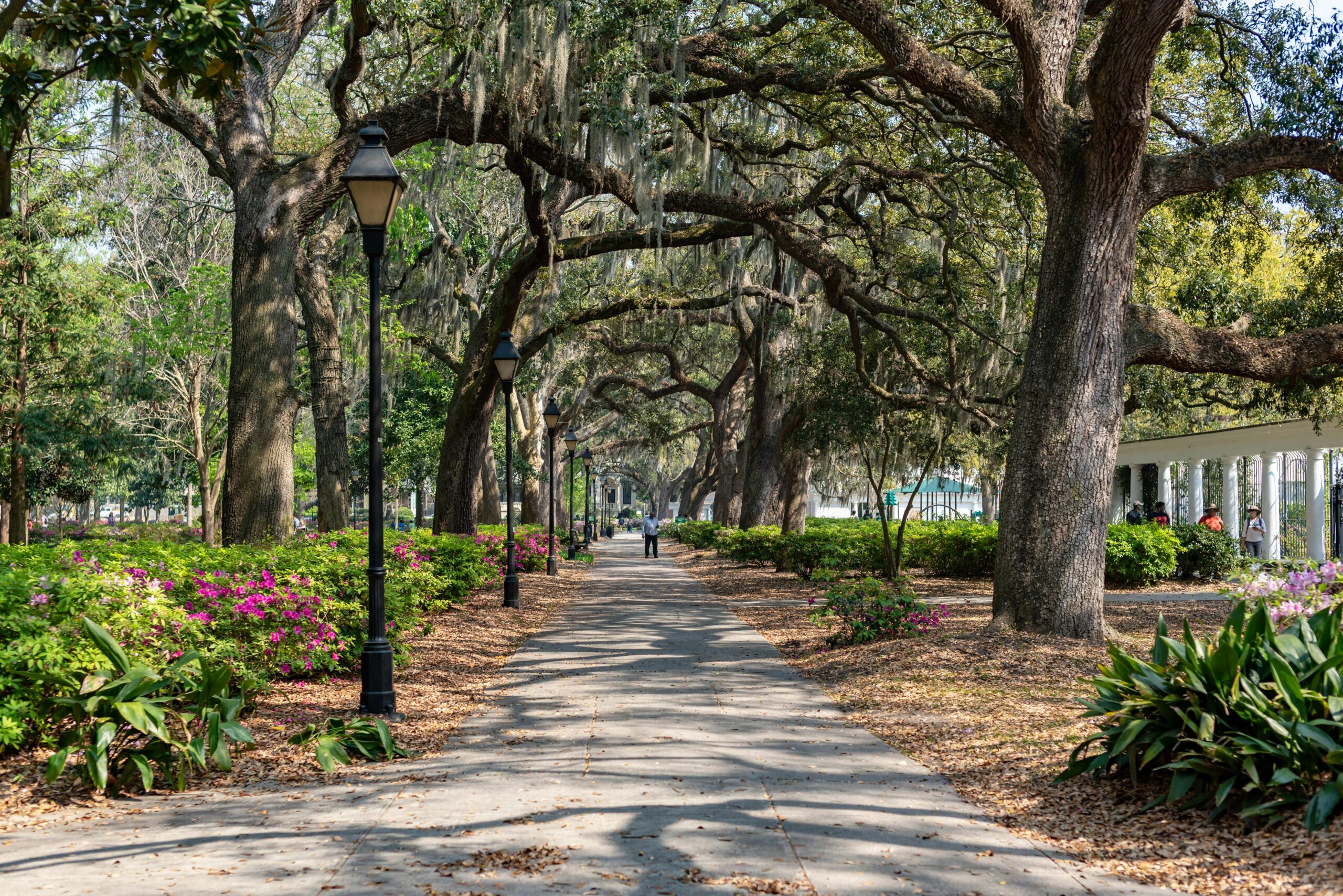 Forsyth park pathway surrounded by flowers and trees