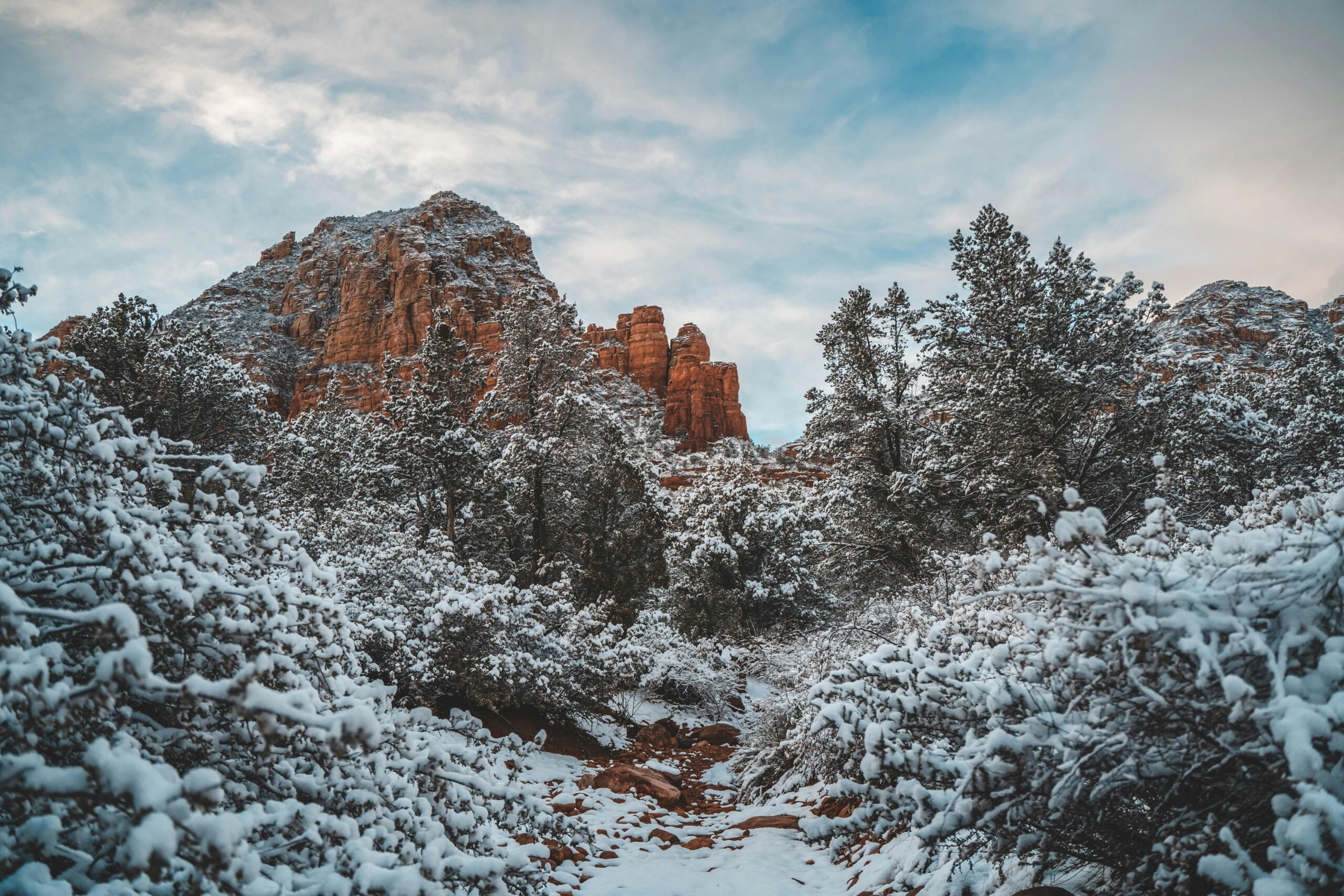 Sedona's red rocks and trees covered in snow during winter