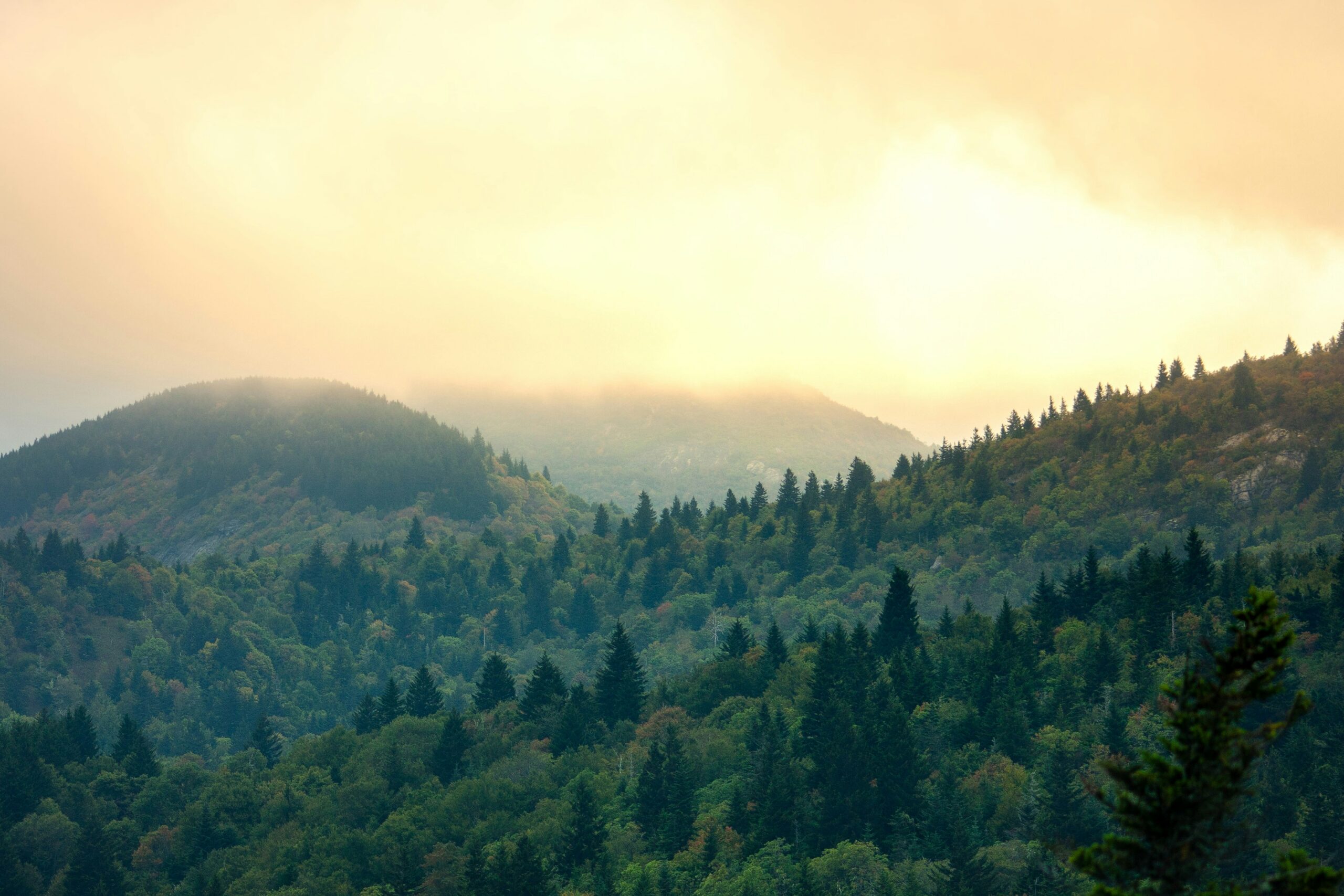 Before sunrise in the Black Balsam Knob in Asheville NC