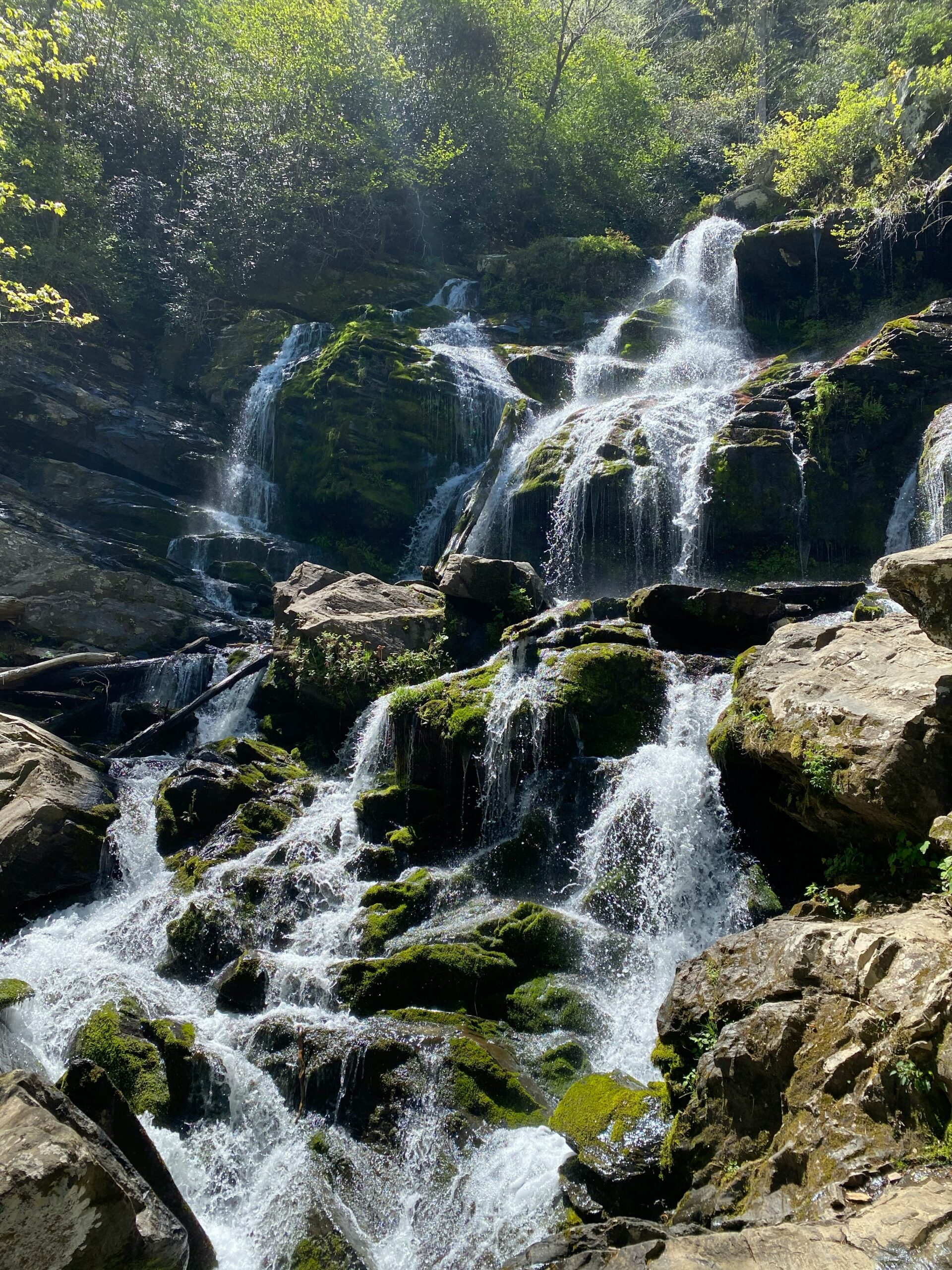 Catawba Falls in Old Fort Near Asheville